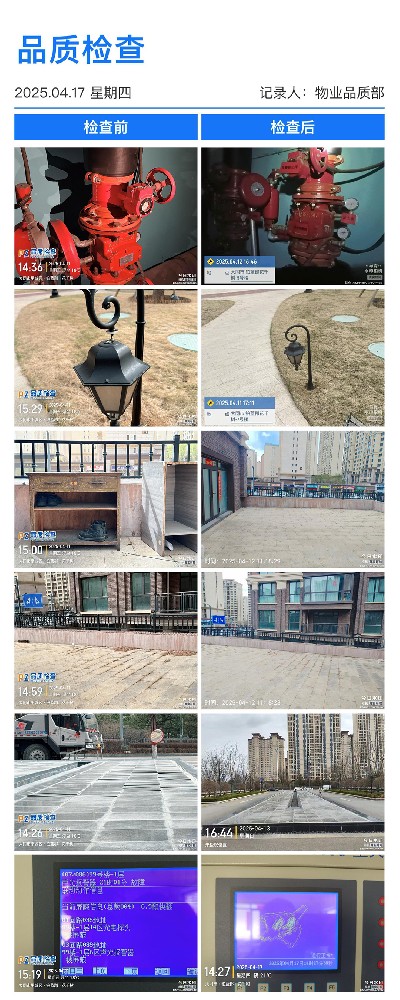 花千树第15周.jpg