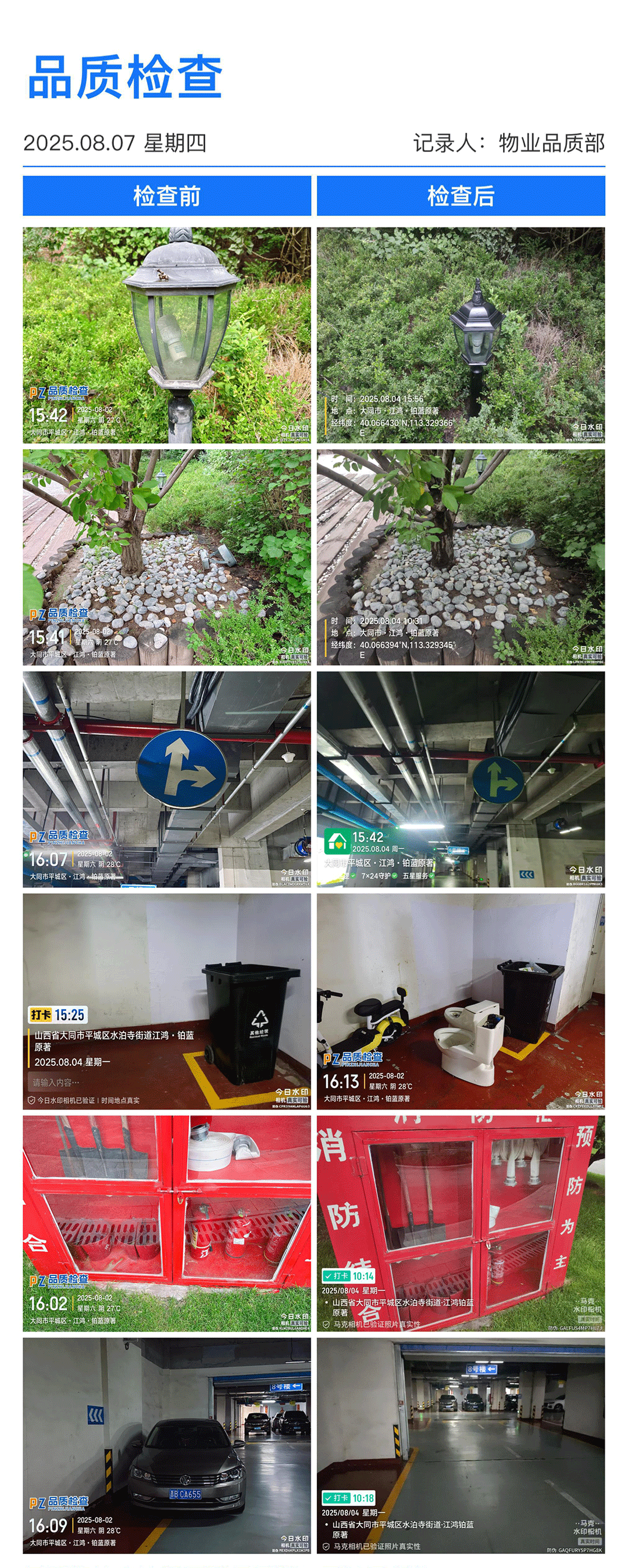 31周铂蓝原著.png