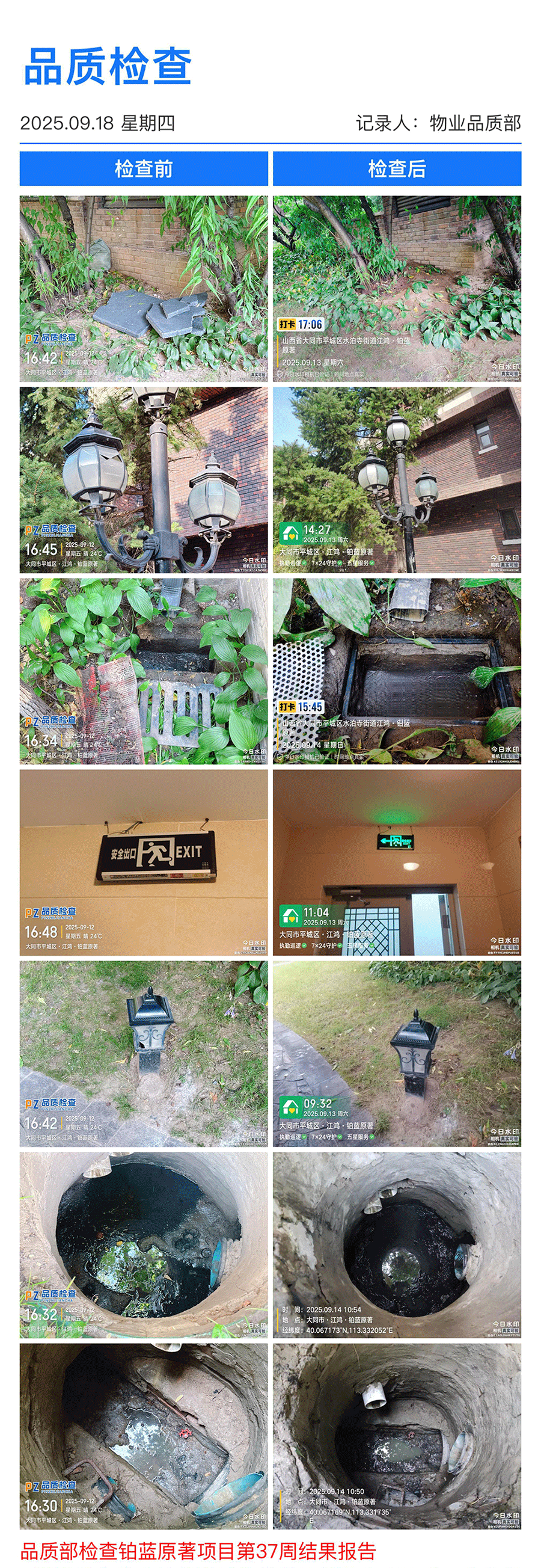 37周铂蓝原著.png