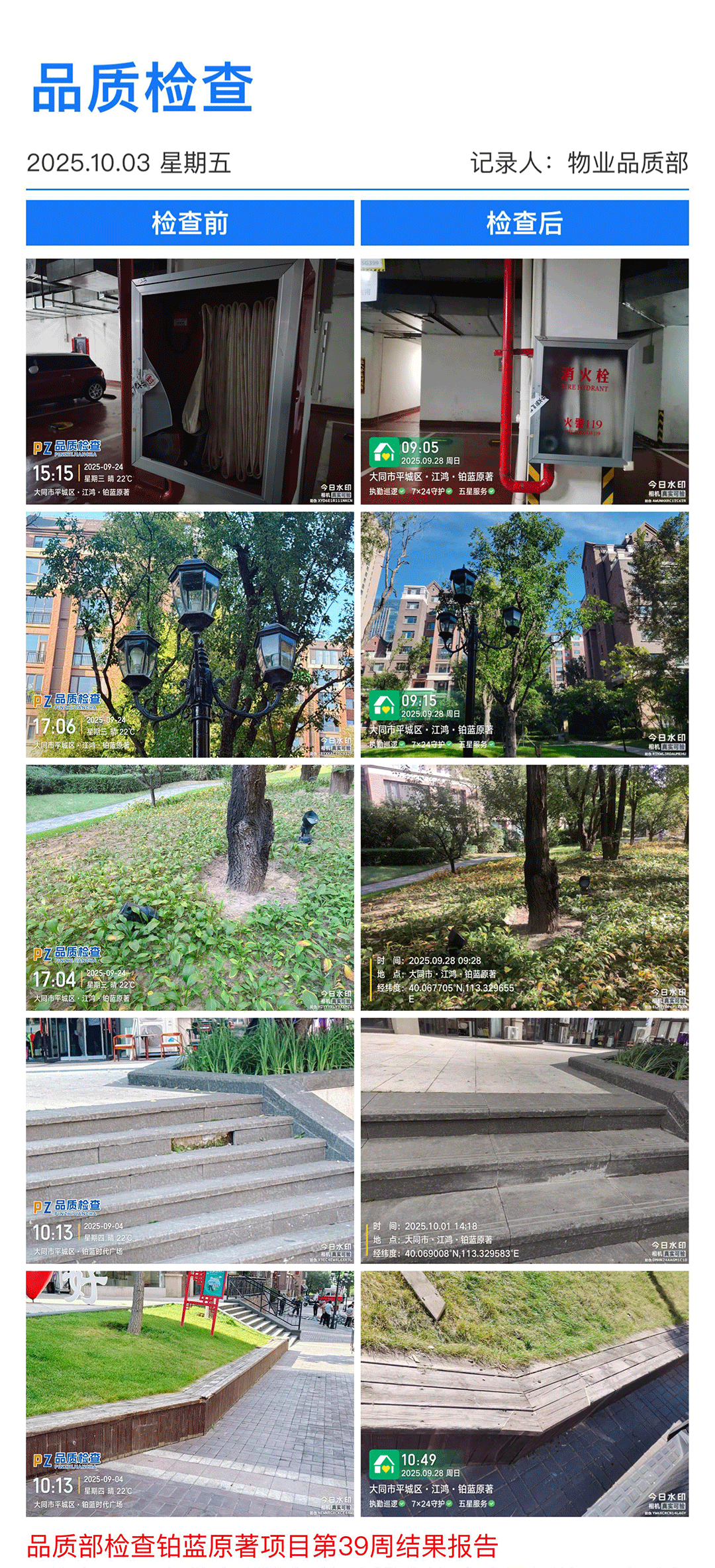 39周铂蓝原著.png