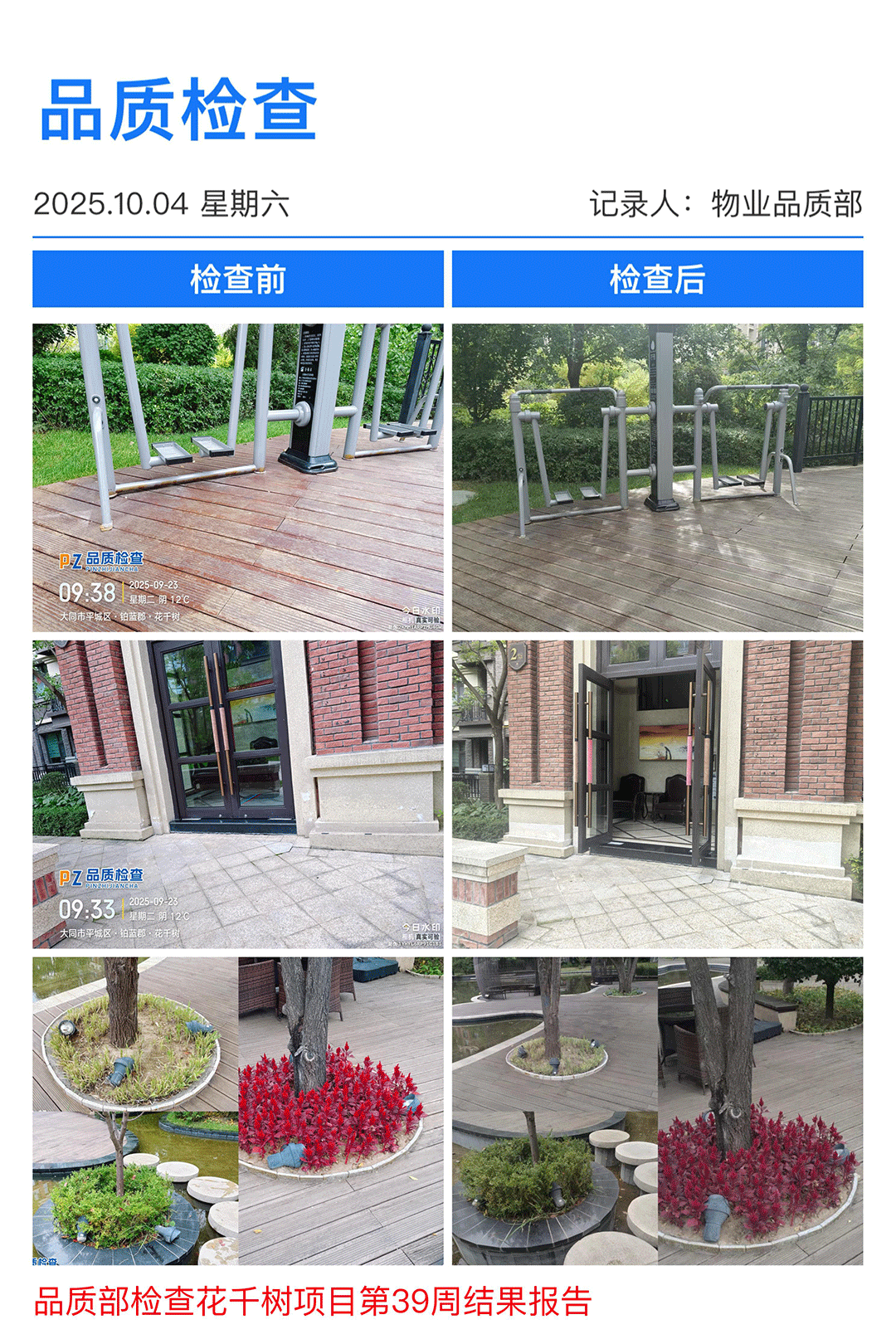 39周花千树.png